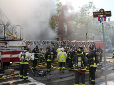 IMG_0074_1.jpg