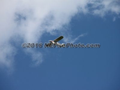 IMG_0029.jpg