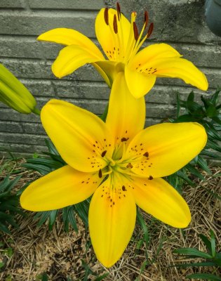 IMG_0885.jpg