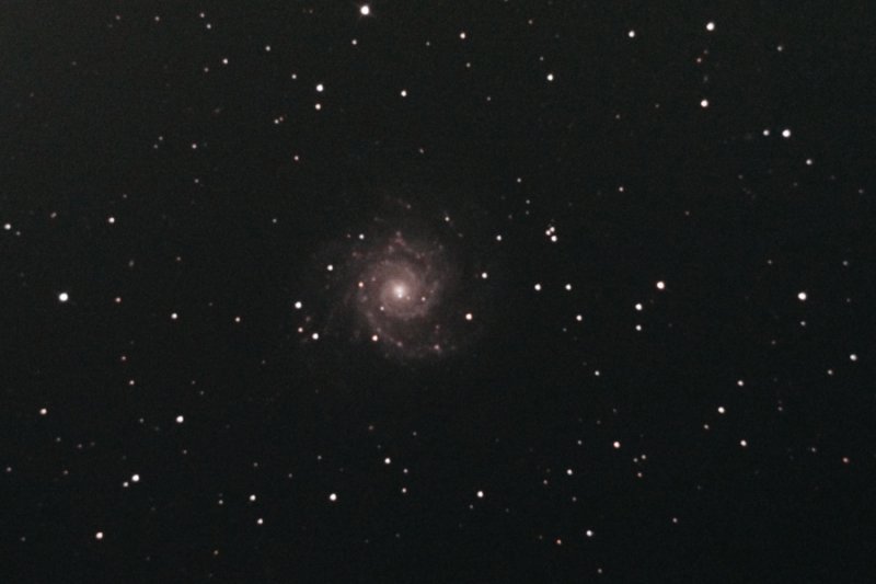 Spiral Galaxy M74 in Pisces