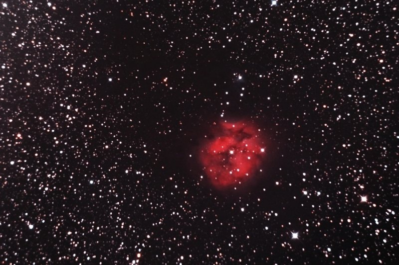 The Cocoon Nebula in Cygnus