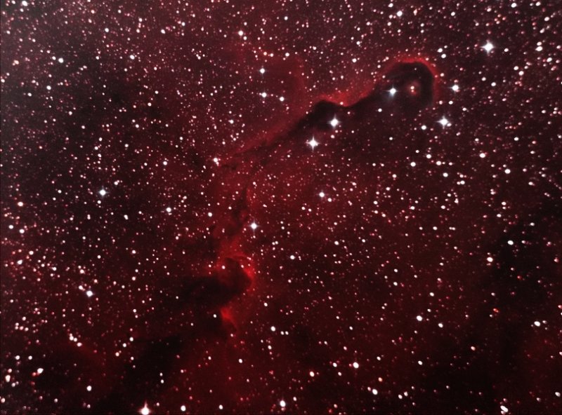 The Elephant's Trunk dark nebula, within IC 1396, Cepheus