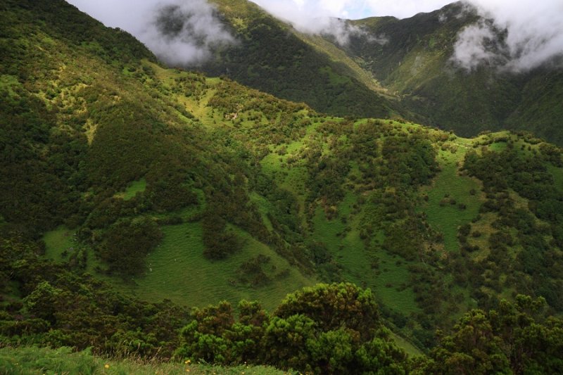 Steep, green valley, Sao Jorge island