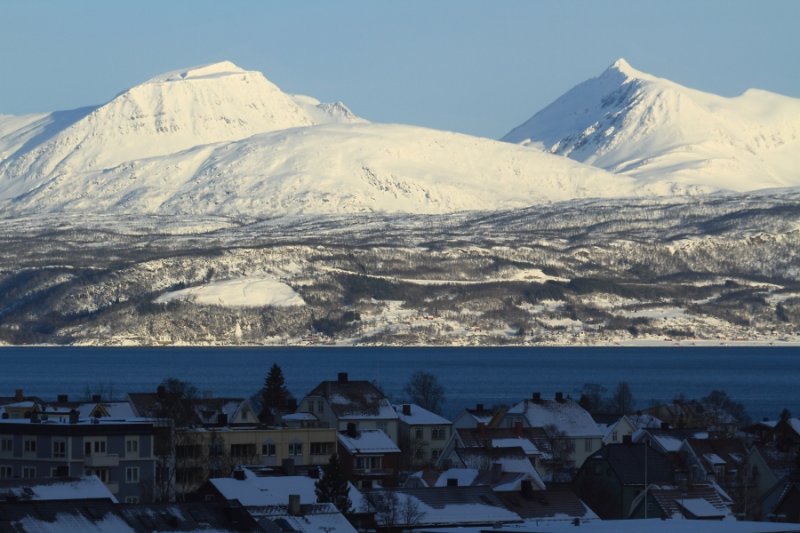 Morning in Narvik