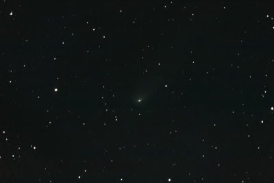 Comet 81P/Wild - 8 April 2010