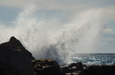 DSC01753b.JPG