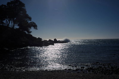 DSC03323a.jpg