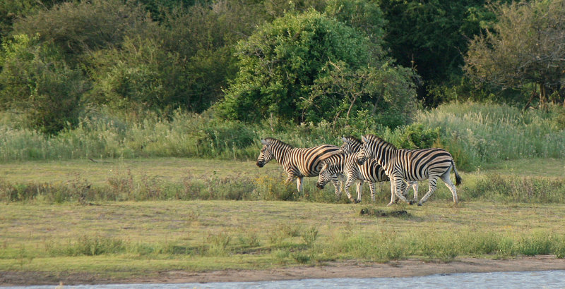 Around the Kruger