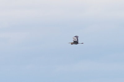 g9/95/921695/3/161313725.uYfsvKx9.jpg