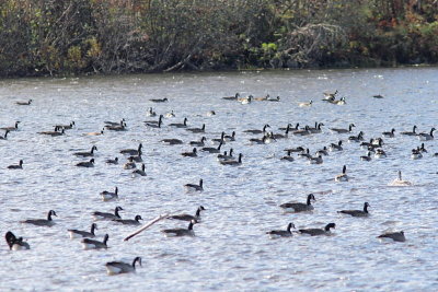 Lac Davignon