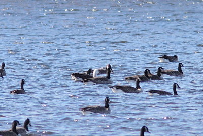 Lac Davignon