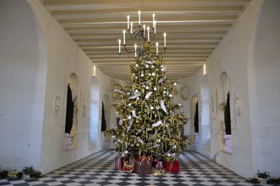 Chenonceau_53.jpg