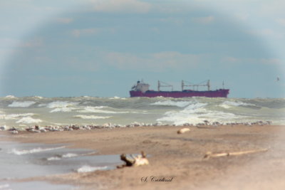 pointe-pele_2013