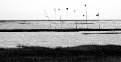le aux Coudres