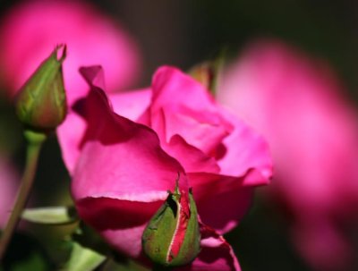 g9/95/964795/3/151302176.6vLfwFNo.jpg