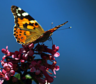 g9/95/964795/3/152411034.6hLTa7WH.jpg