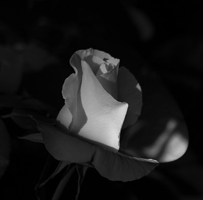 g9/95/964795/3/155270152.Sf095MN7.jpg