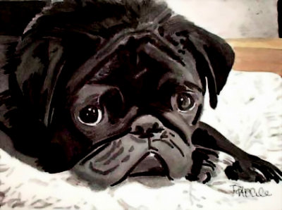  Lazy Dogs Watercolor Paintings by Pam Houle