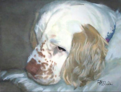 Lazy Clumber Spaniel