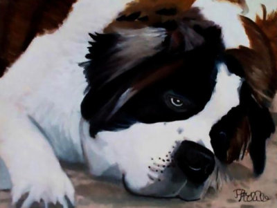 Lazy Saint Bernard