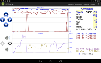 LTE Summary -- Jordan Bortz Consulting