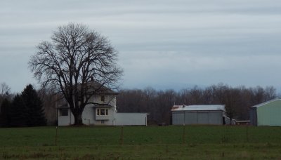 IMG_0471.jpg