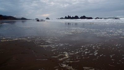 IMG_0498.jpg