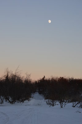 Night Time Moon