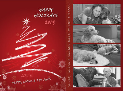 Happy Holidays, Nuts!