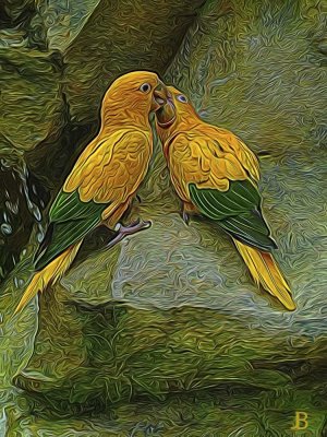 Gold parakeets