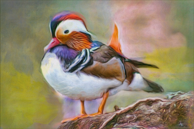 Duck Paint and Pastels by Tana, May, 2016