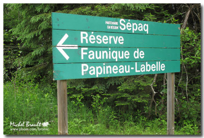 Rserve Faunique Papineau-Labelle Juin 2013