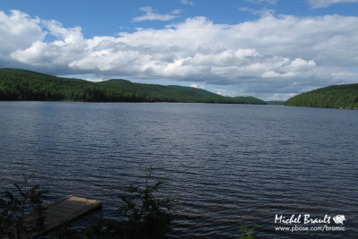 IMG_3415.jpg