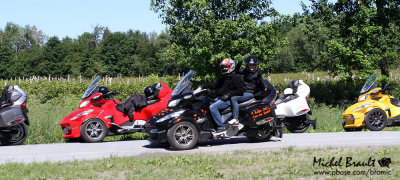 IMG_7848.jpg
