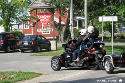 IMG_3626.jpg