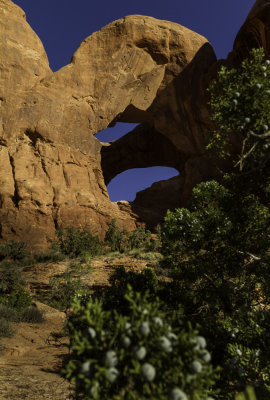 Arches and Canyonlands National Parks