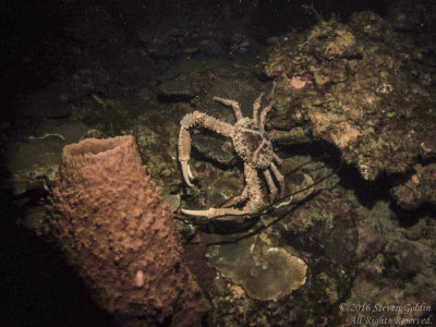 SJGoldin_St_Lucia_0716-130.jpg