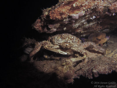SJGoldin_St_Lucia_0716-134.jpg