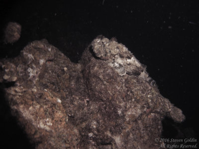 SJGoldin_St_Lucia_0716-140.jpg