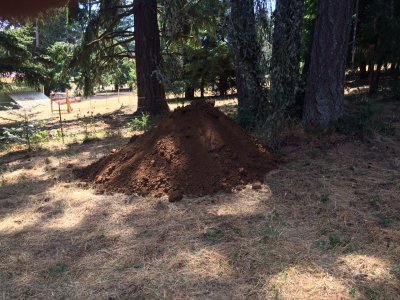 digging_1.JPG