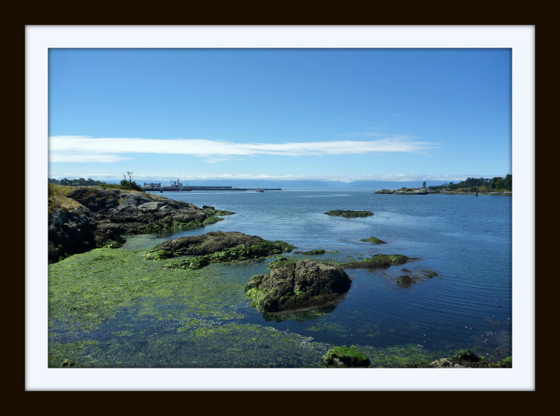 Victoria Inner Harbour Boardwalk 274