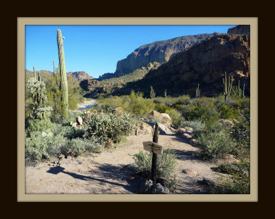 First Water Trailhead to Canyon Cove Trail