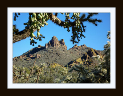 Massacre Grounds Trail