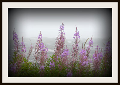 Scots Bay & Blomidon, Nova Scotia