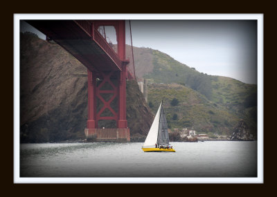 Golden Gate 169