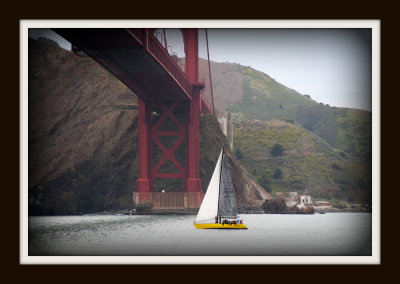 Golden Gate 170