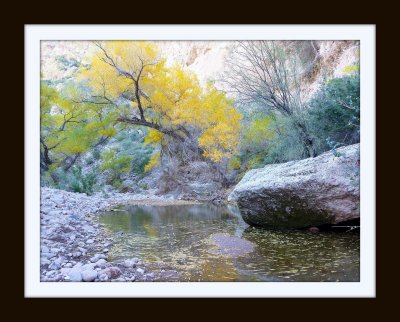 Arizona Hikes and Drives - Chapter 6 - Hackberry Springs Trail