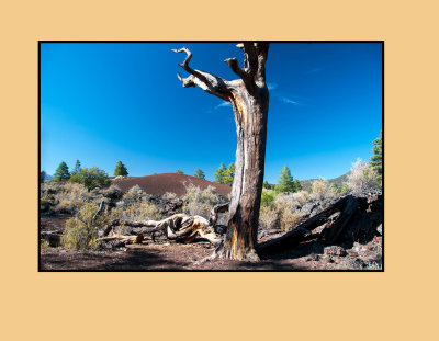 Sunset Crater Volcano National Monument