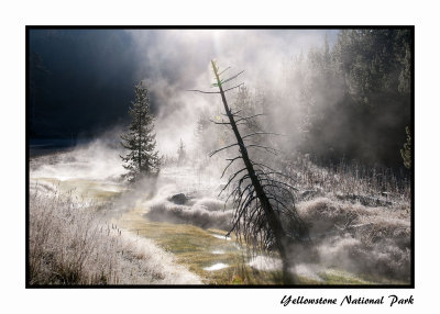 Yellowstone National Park