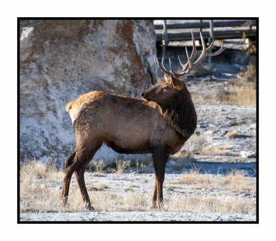 064 14 10 18 Yellowstone NP